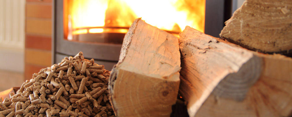 Concept Cheminées : L'aspirateur à cendres offert !