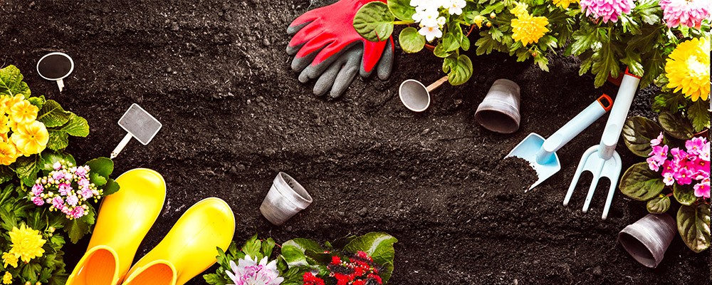 Au bon jardinier: 10 % de remise