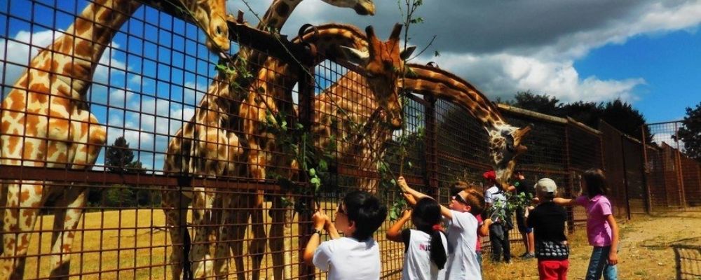 Parc Zoo du Reynou : 3 € de remise tarif enfant