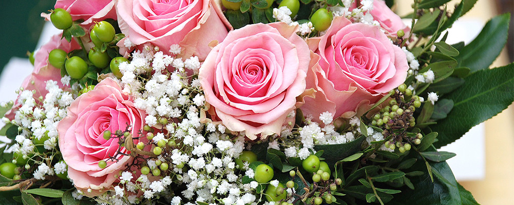 Floraison: Une rose offerte pour 40 euros d'achats