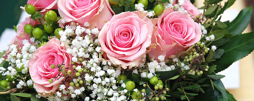 Floraison: Une rose offerte