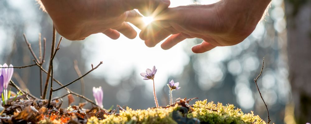 Aux Bonnes Energies: Un soin offert