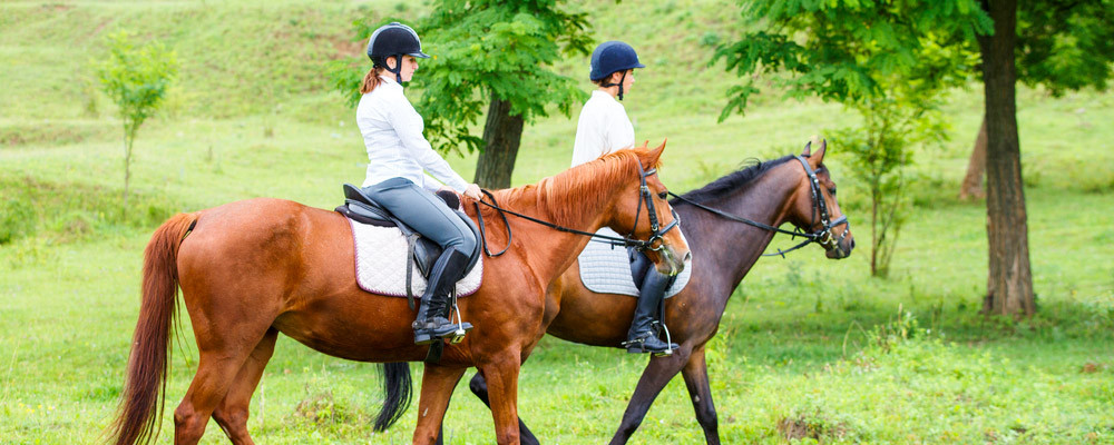 Cheval & Provence : 20% de remise Cours