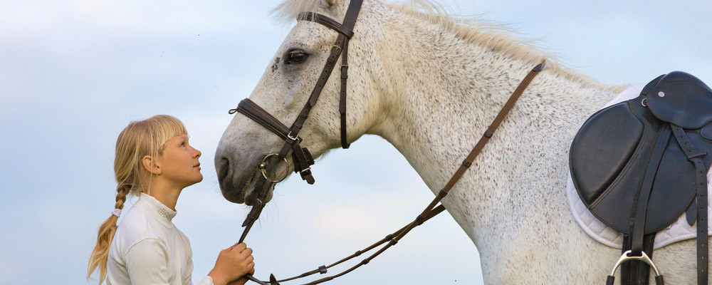 Horse Royal Foods: 5% de remise