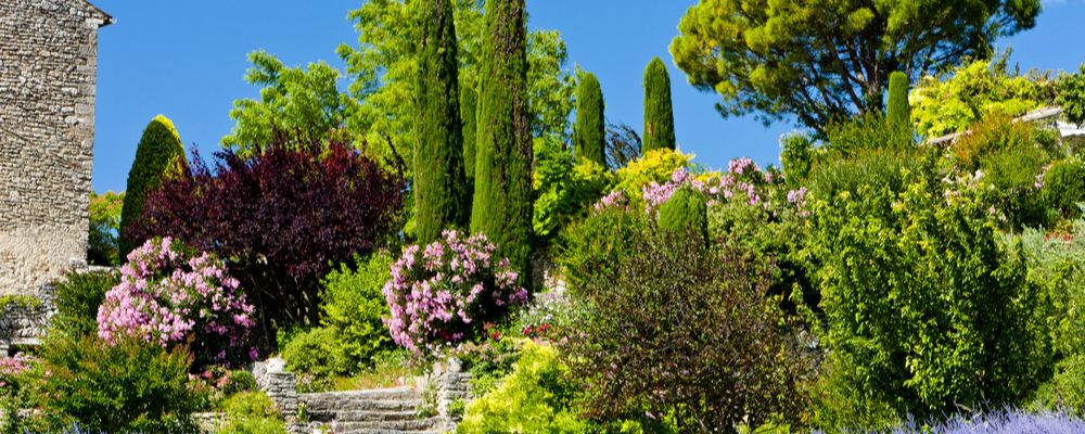 Jardins du Musée International de la Parfumerie : une entrée offerte