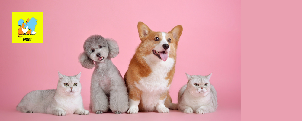 Au monde des animaux : 5% de remise