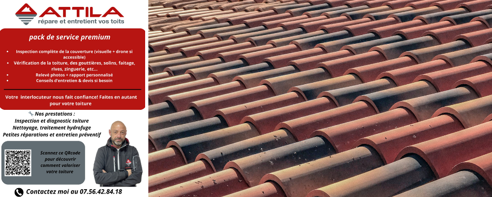 Attila : Bilan toiture offert