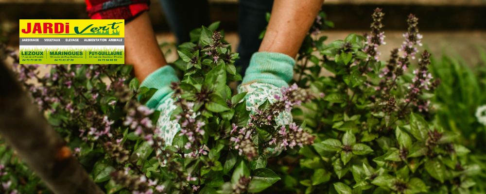 Jardivert : 10% de remise